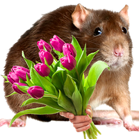 rat with bouquet
